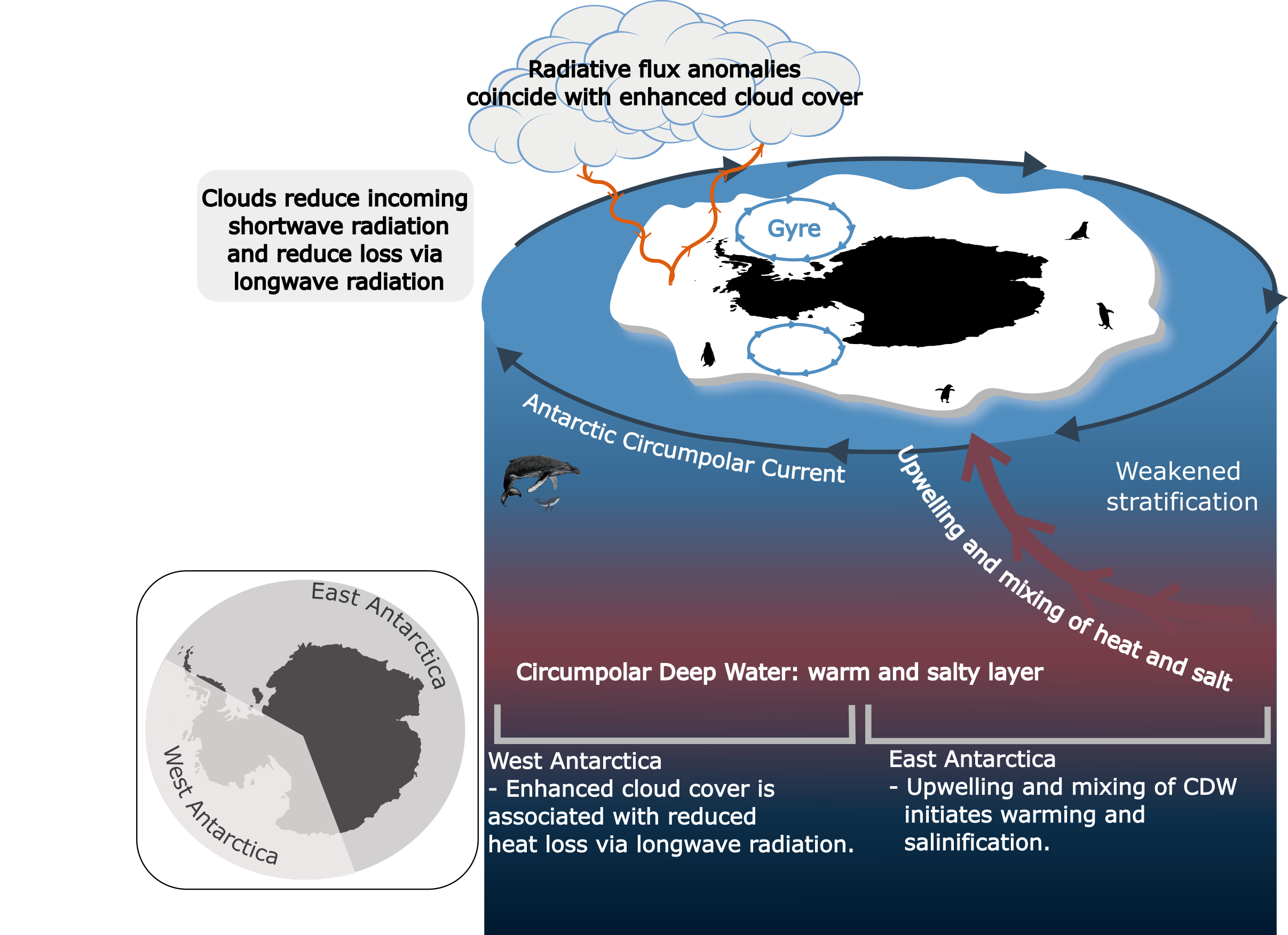 Sea ice processes